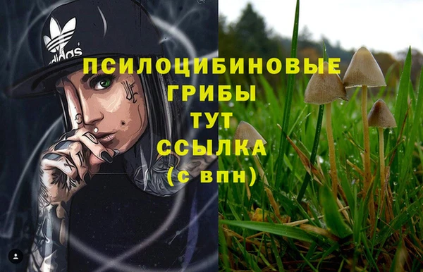 гашиш Богданович