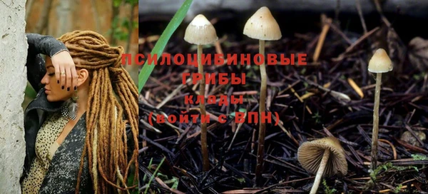 прущая мука Белокуриха