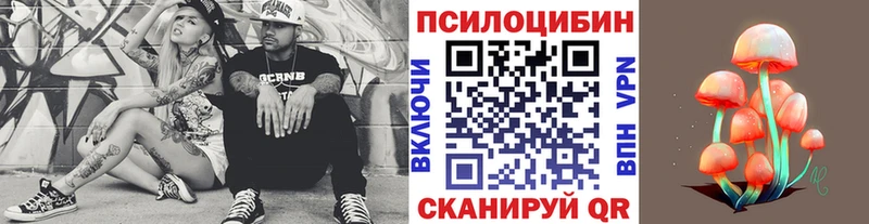 Псилоцибиновые грибы Magic Shrooms  Севск 